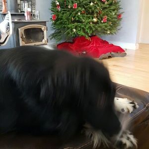 Meet your Posher, Angel