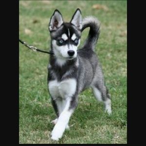 Meet your Posher, Areli