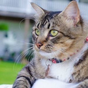 Meet your Posher, Anne