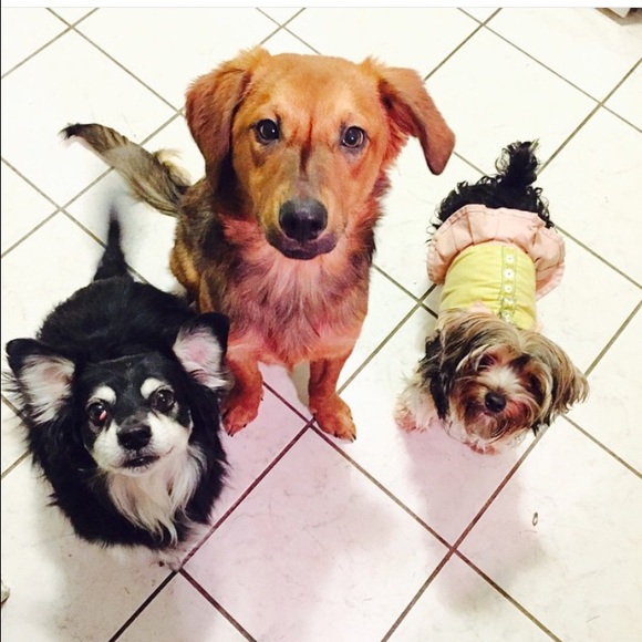 Meet your Posher, Pat - Picture 4 of 4