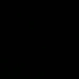 Meet your Posher, Bridget