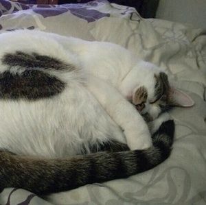 Meet your Posher, Nancy