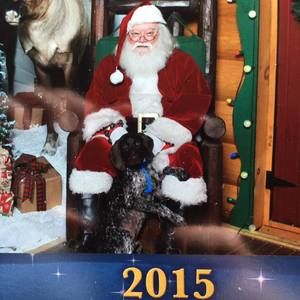 Meet your Posher, Billi