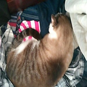 Meet your Posher, Catherine