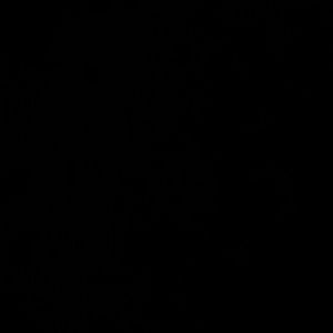 Meet your Posher, Anahi