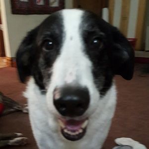 Meet your Posher, Jack