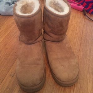 Classic Short Chestnut Uggs!