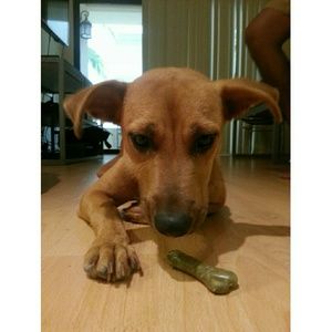 Meet your Posher, Eric