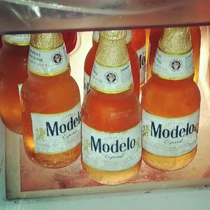 Meet your Posher, Leonard