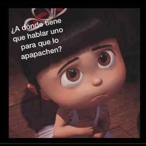 Meet your Posher, Yesenia