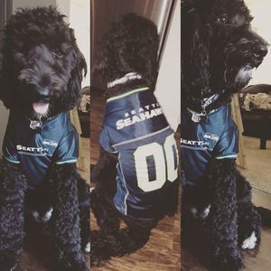 Meet your Posher, Kevin