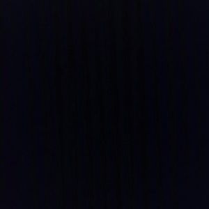 Meet your Posher, Vonda