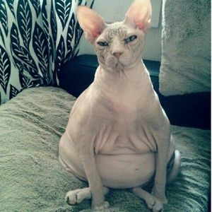 Meet your Posher, Lesley