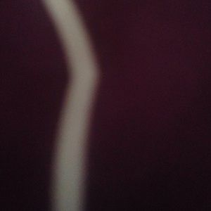 Meet your Posher, Jayla