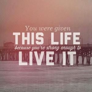 Meet your Posher, Marissa