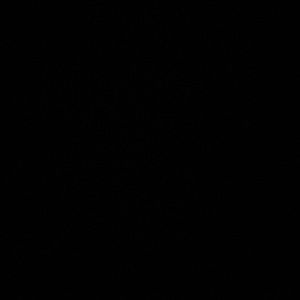 Meet your Posher, Alondra