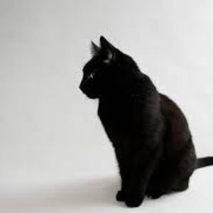 Meet your Posher, Georgia