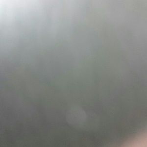 Meet your Posher, Fidel