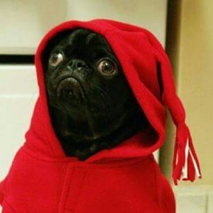 Meet your Posher, Bianca