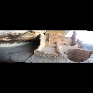 Meet your Posher, Linh