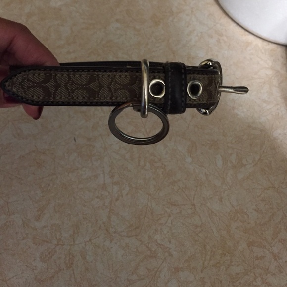 Authentic coach dog collar