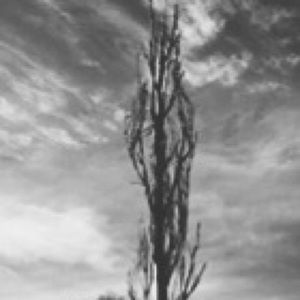 Meet your Posher, Jillian