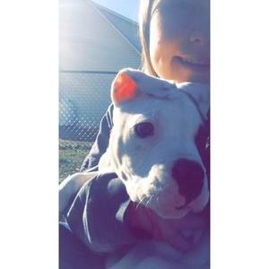 Meet your Posher, Angela