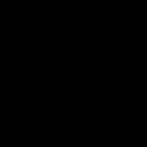 Meet your Posher, Cameron