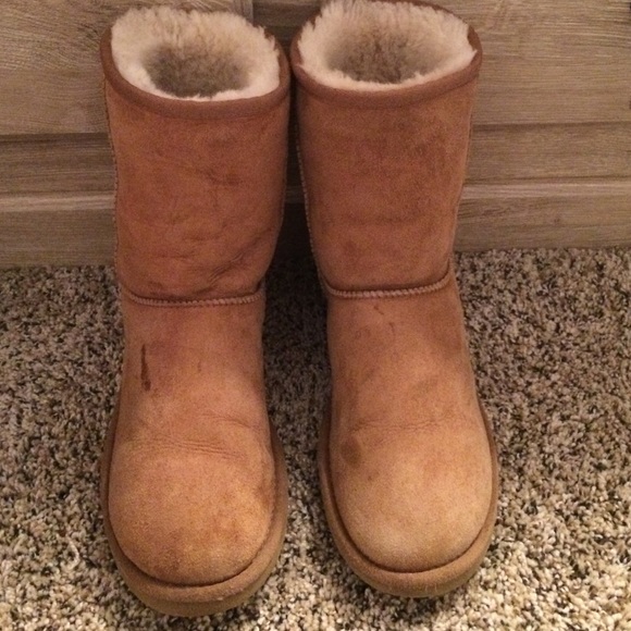 Authentic Chestnut Uggs