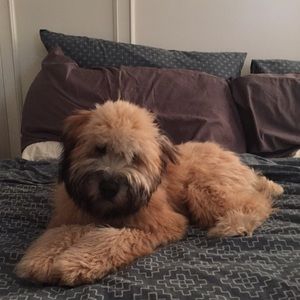 Meet your Posher, Kelsey