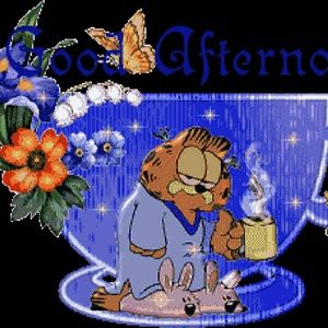 Meet your Posher, Sonya