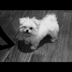 Meet your Posher, Tracy