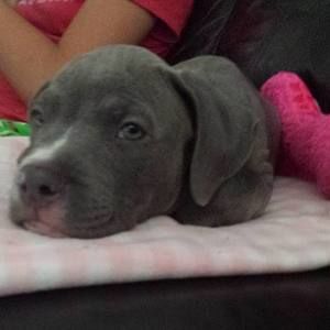 Meet your Posher, Lori