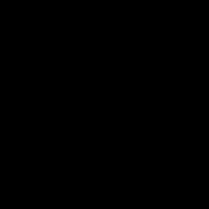 Meet your Posher, Max