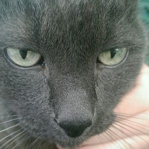 Meet your Posher, Travis