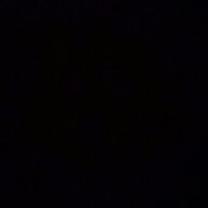 Meet your Posher, Paige