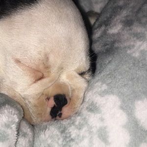 Meet your Posher, Cathy