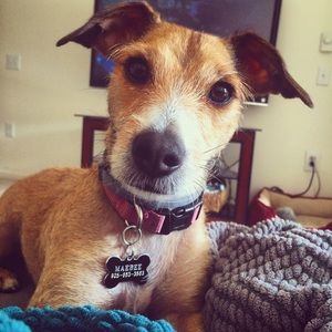 Meet your Posher, Erica