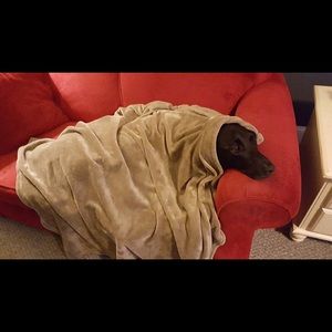 Meet your Posher, Grace