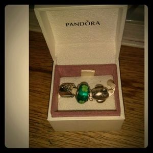 Pandora  charms