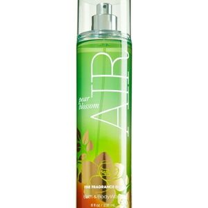 Bath and Body Works Air Fragrance Mist Perfume