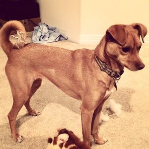 Meet your Posher, Nicole