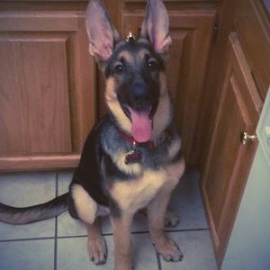 Meet your Posher, Marissa