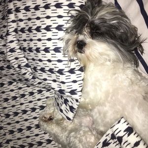 Meet your Posher, Chase