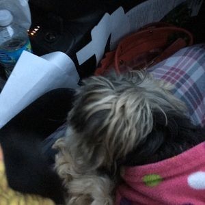 Meet your Posher, Ruby