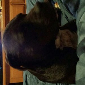 Meet your Posher, Nikki