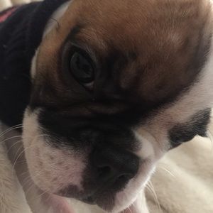 Meet your Posher, Sam