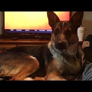 Meet your Posher, Drew