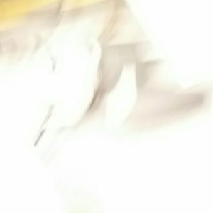 Meet your Posher, Jaclyn