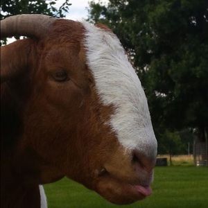 Meet your Posher, Mackenzie